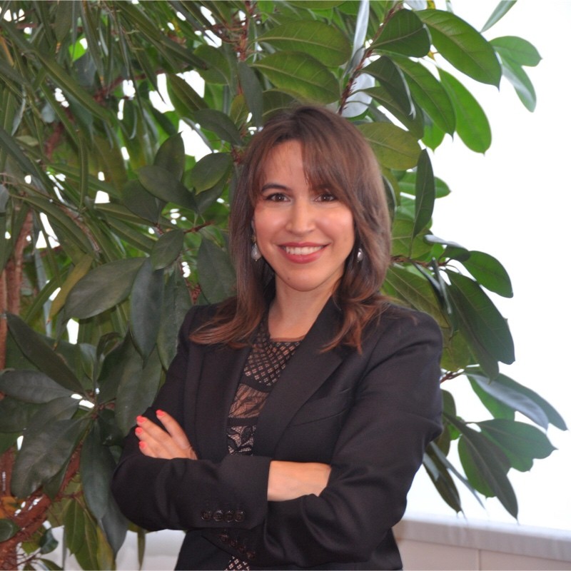 Art Law in the International Art Market: Hélène Bergerhoff on Legal Due Diligence, Provenance and the Protection of Collectors